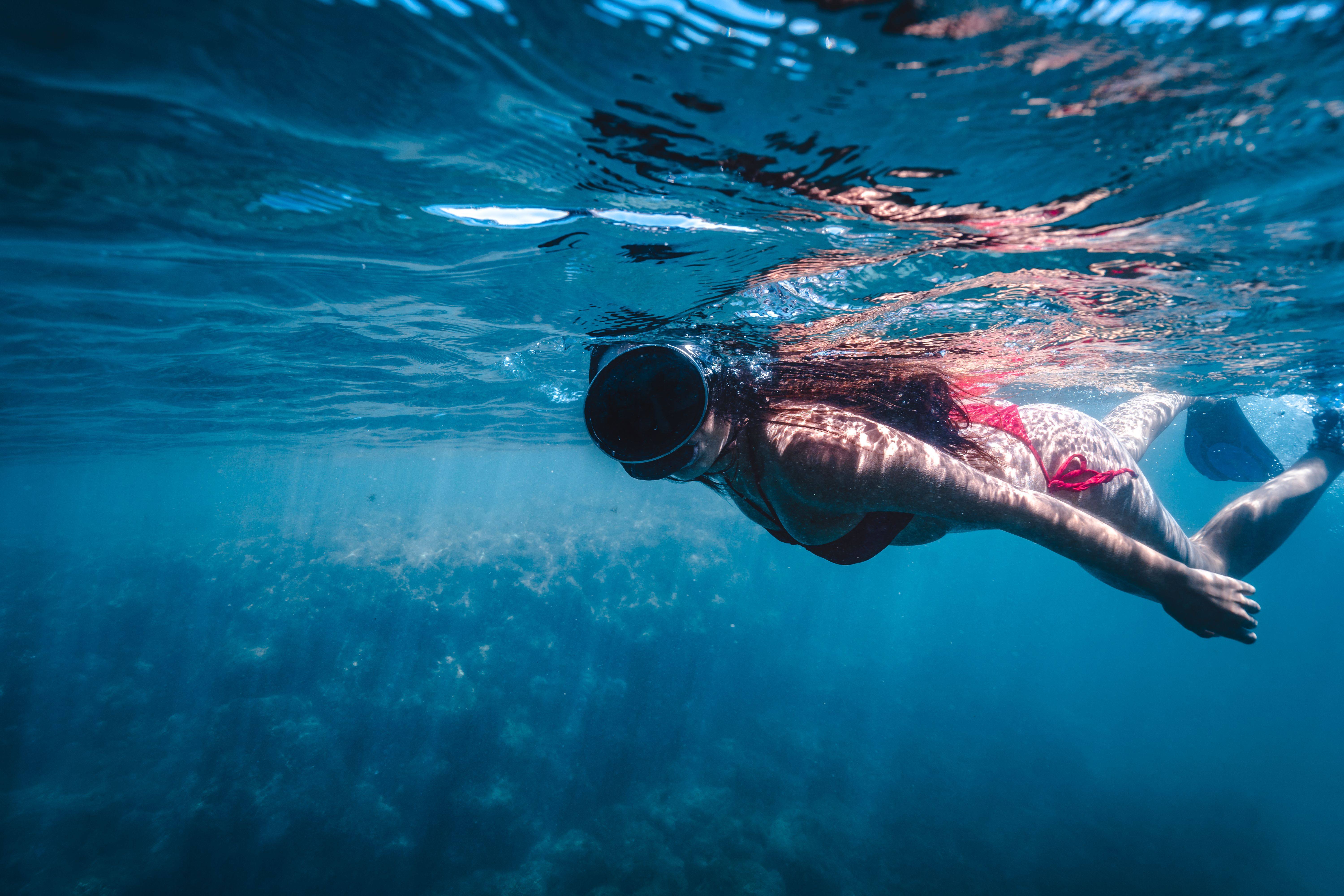 Mirissa Snorkeling Gallery Hero