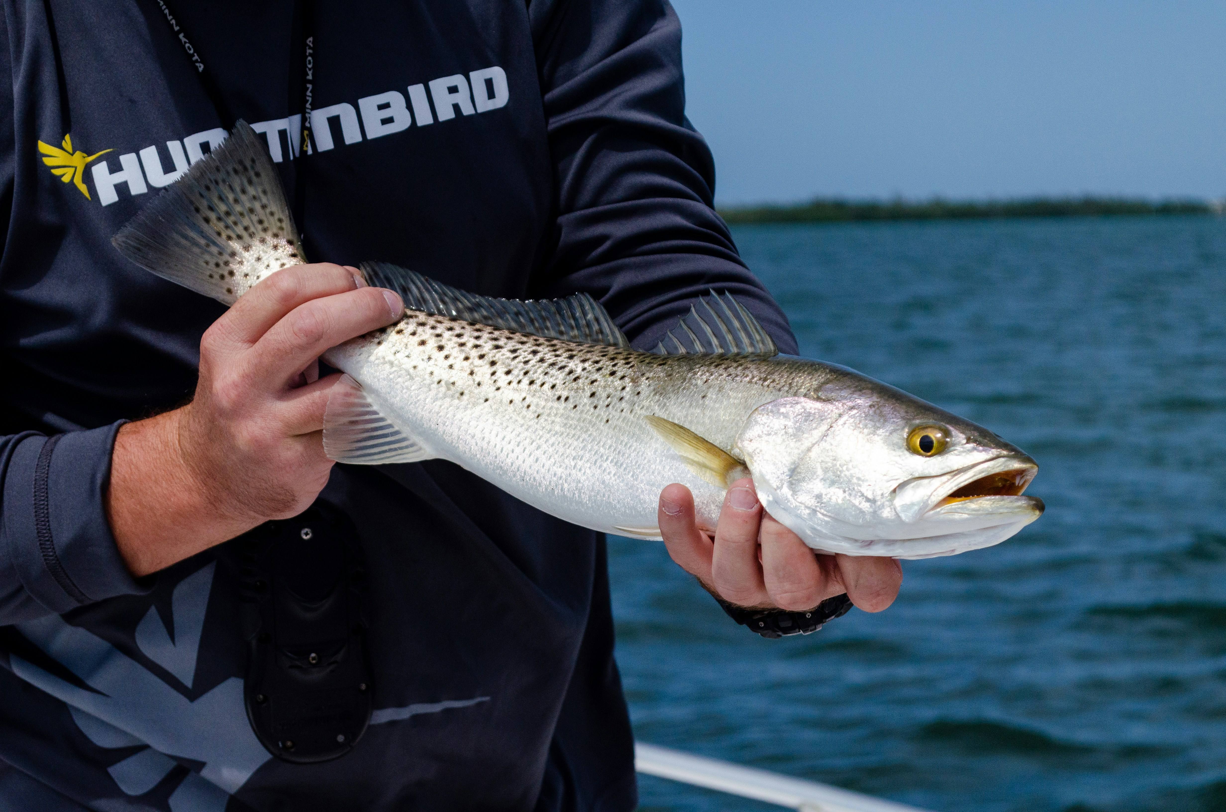 Deep Sea Fishing charter in Mirissa